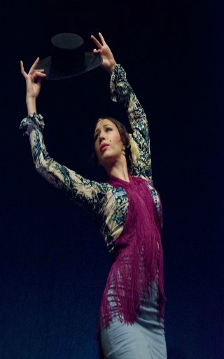 spectacle flamenco Valencia