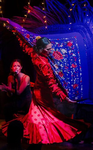 espectaculo flamenco en Valencia